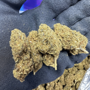 Blue Mango
