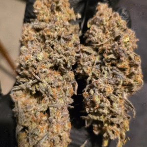 Blueberry cupcake X mac1