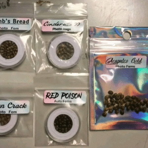Cinderella 99 Seed and Acapulco Gold Seed