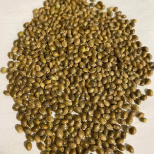 Fully Mature SE Asian Pure Sativa Seeds