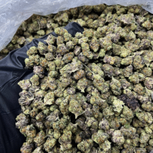Grape Gas Smalls
