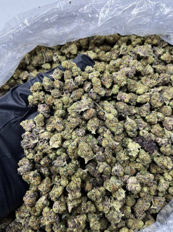 Grape Gas Smalls