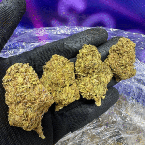 Jack Herer