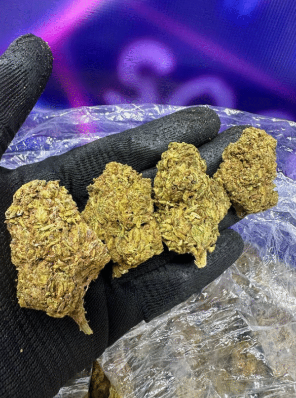 Jack Herer