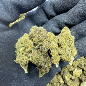 Papaya Punch