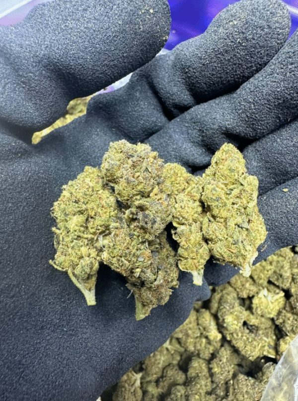 Papaya Punch