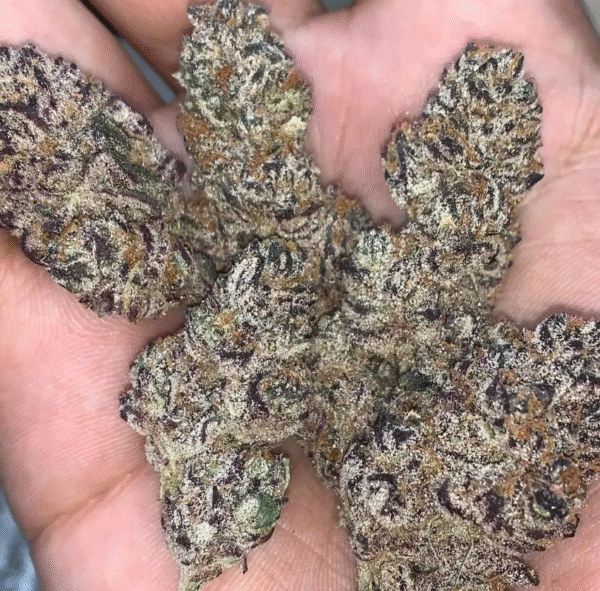 Peanut Butter Breath - Image 2
