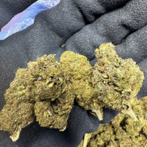 Pink Champagne