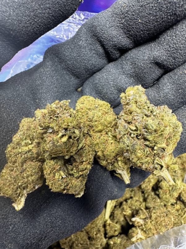 Pink Champagne