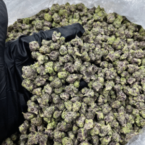 Purple Candy Smalls