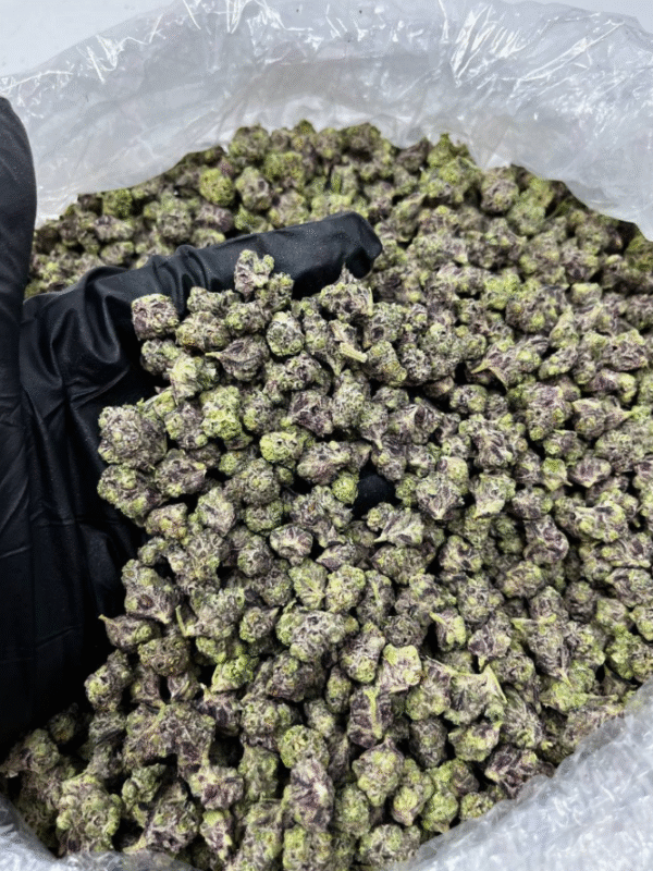 Purple Candy Smalls