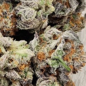 Rainbow Sherbet 11