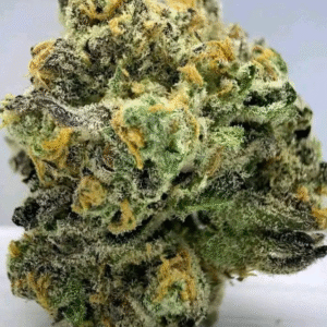 Spritzer (Runtz x MAC1) x Grape Pie