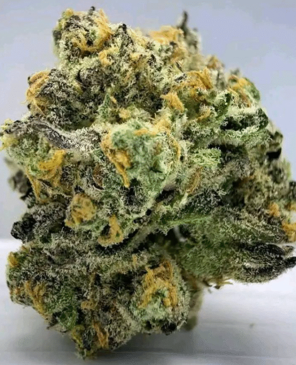 Spritzer (Runtz x MAC1) x Grape Pie