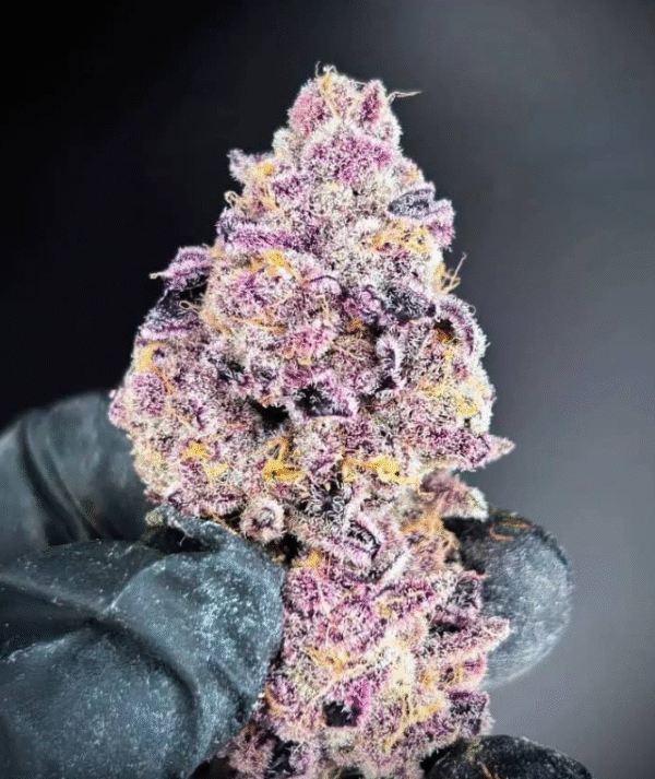 Strawberry Punch - Image 3