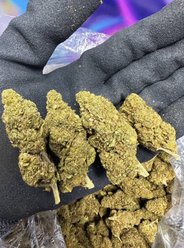 Yellow Zlushie