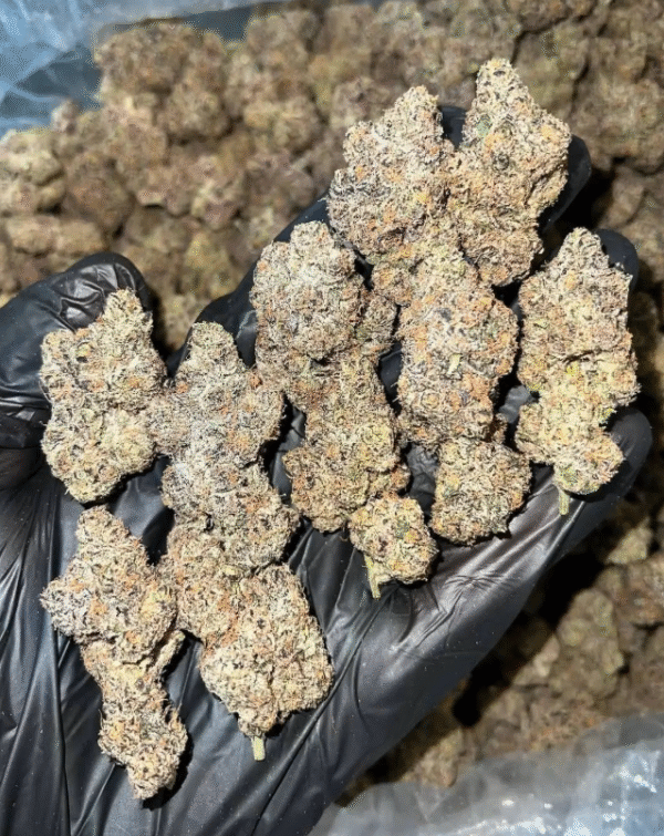Zerealz nugs - Image 2