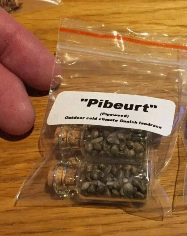 Seed Varieties - Image 5