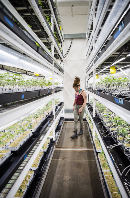 exoticseedgeneticenvironmentcontrolstation