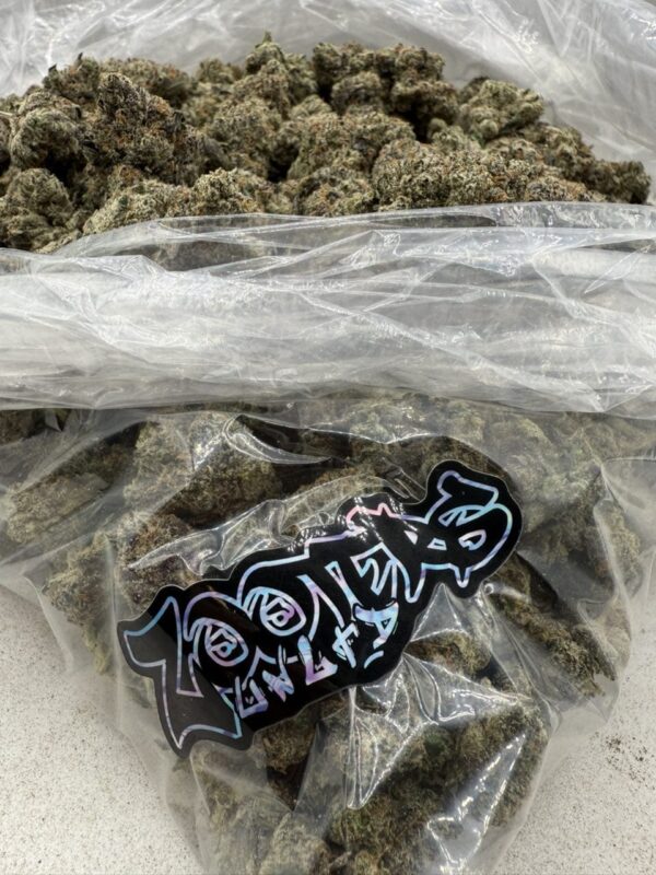 Zooters
