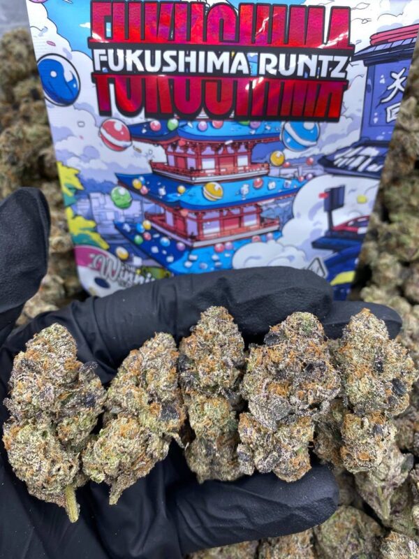 FUKUSHIMA Runtz