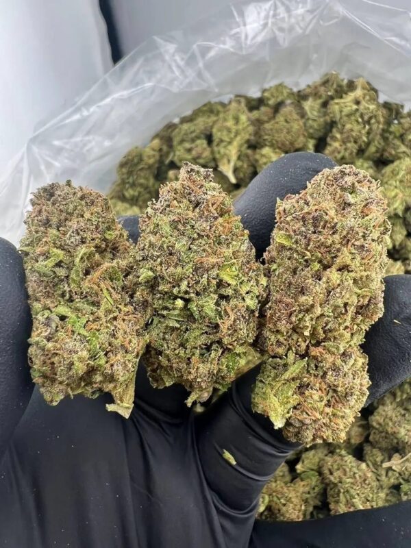 Durban Poison